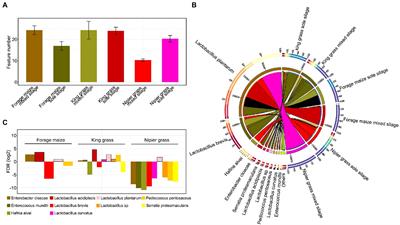 Exploring the differences between sole silages of gramineous forages and mixed silages with forage legumes using 16S/ITS full-length sequencing